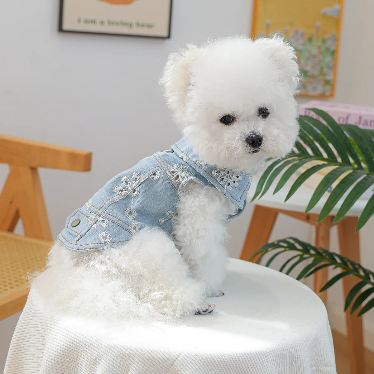 Charming Denim Jacket for Small Dogs with Playful Prints