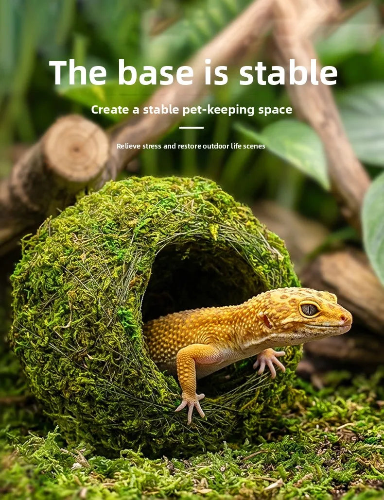 A small yellow lizard is visible inside a natural moss hide, emphasizing a stable pet-keeping space.