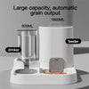 Gravity-Fed Cat Water Dispenser & Feeder with Spill-Proof Design