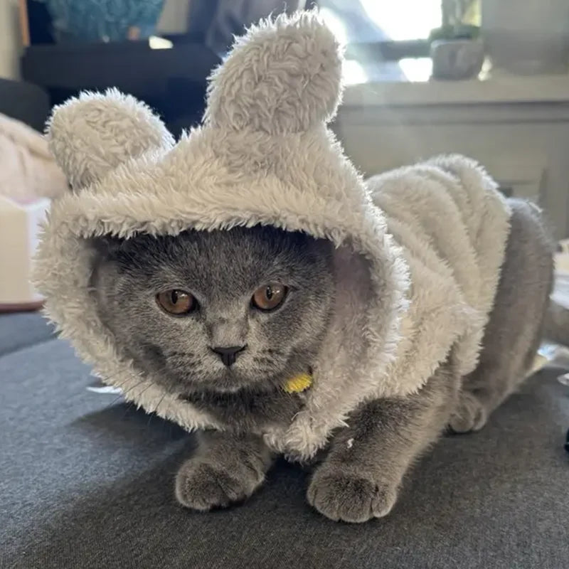 Un chaton gris et duveteux portant un manteau à capuche moelleux avec une large bordure et de grands yeux.