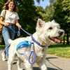 Portable 2-in-1 Pet Water Bottle with Lanyard