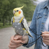 Breathable Parrot Flight Suit with Poop Pocket