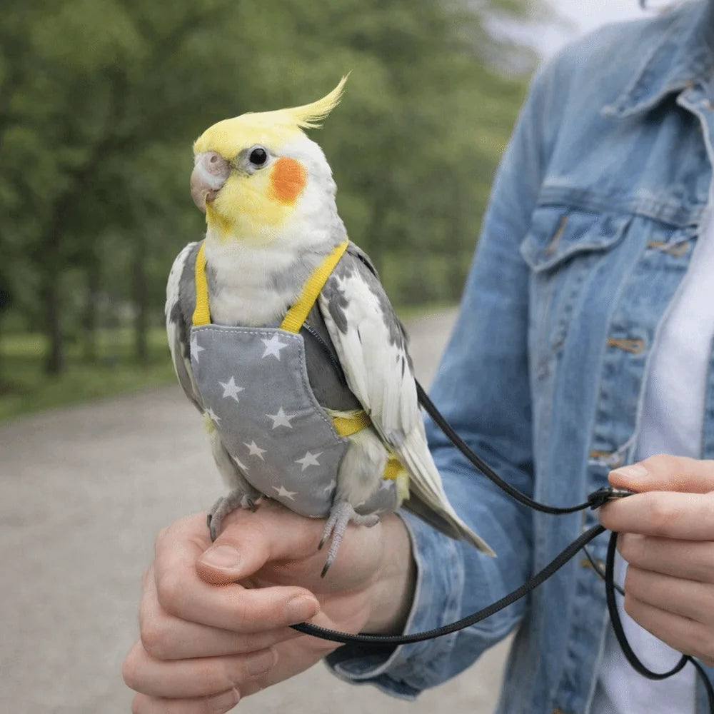 Breathable Parrot Flight Suit with Poop Pocket