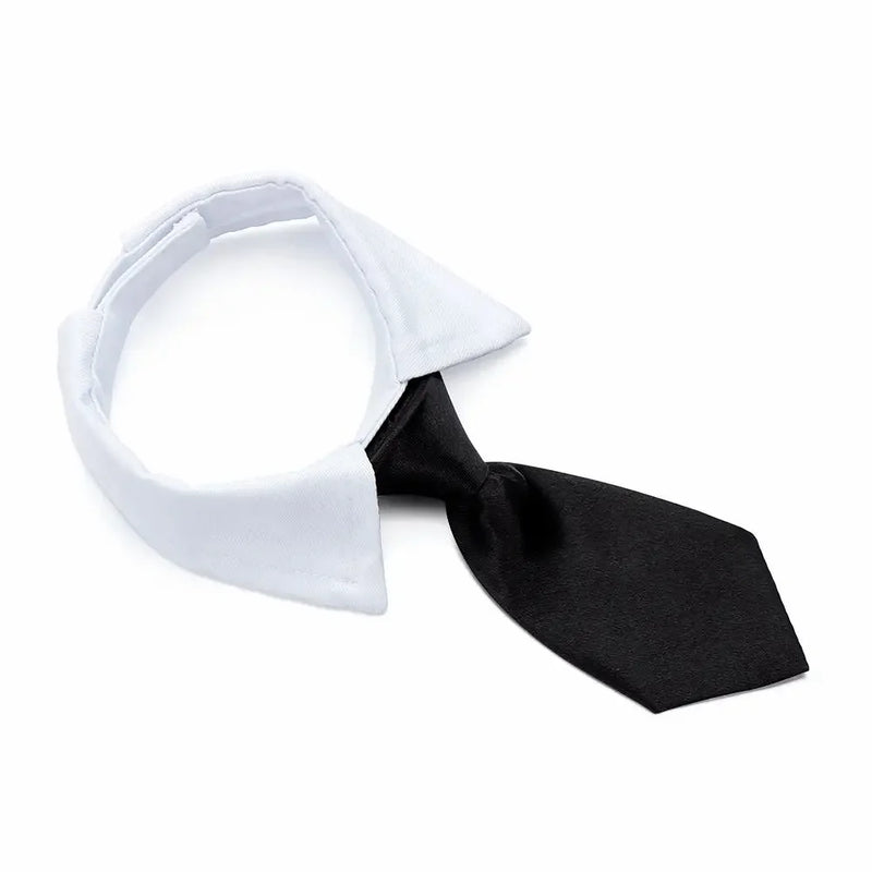 Corbata y Pajarita Formal para Mascotas