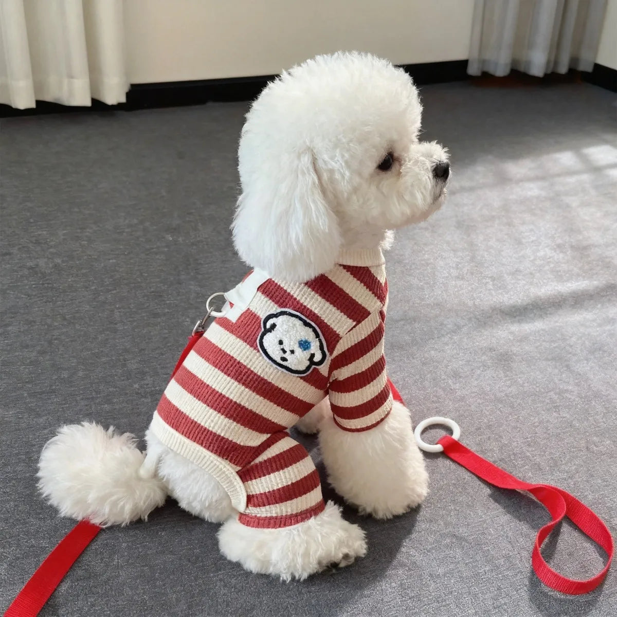 A white poodle wearing a red and white striped sweater with a bear patch design lies on a gray carpet.