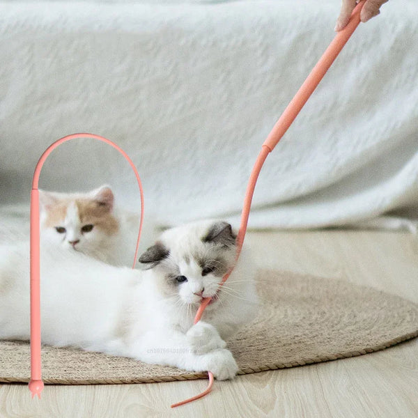 A white kitten plays with an orange silicone cat teaser toy on a light surface.