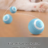 Intelligenter interaktiver Rollball für Katzen