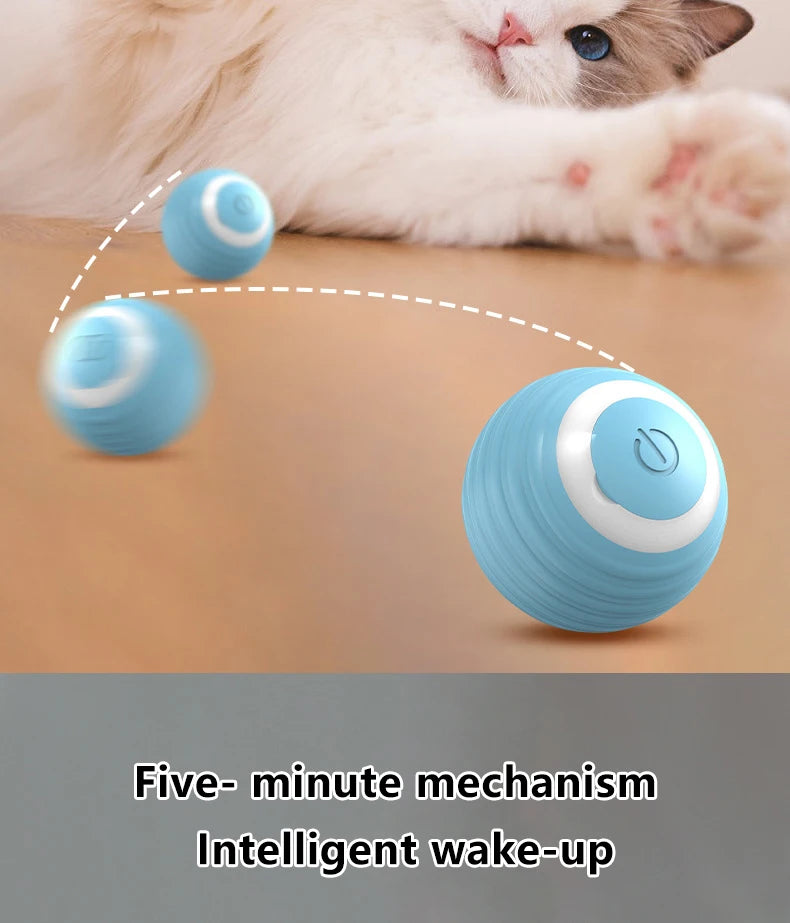 Intelligenter interaktiver Rollball für Katzen