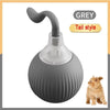 A grey interactive prey-simulating pet toy ball with a tail style attachment.