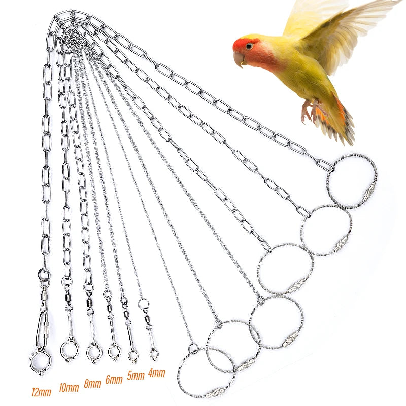 Stainless steel parrot training anklets in various sizes, including 12mm to 4mm, shown next to a small yellow parrot.
