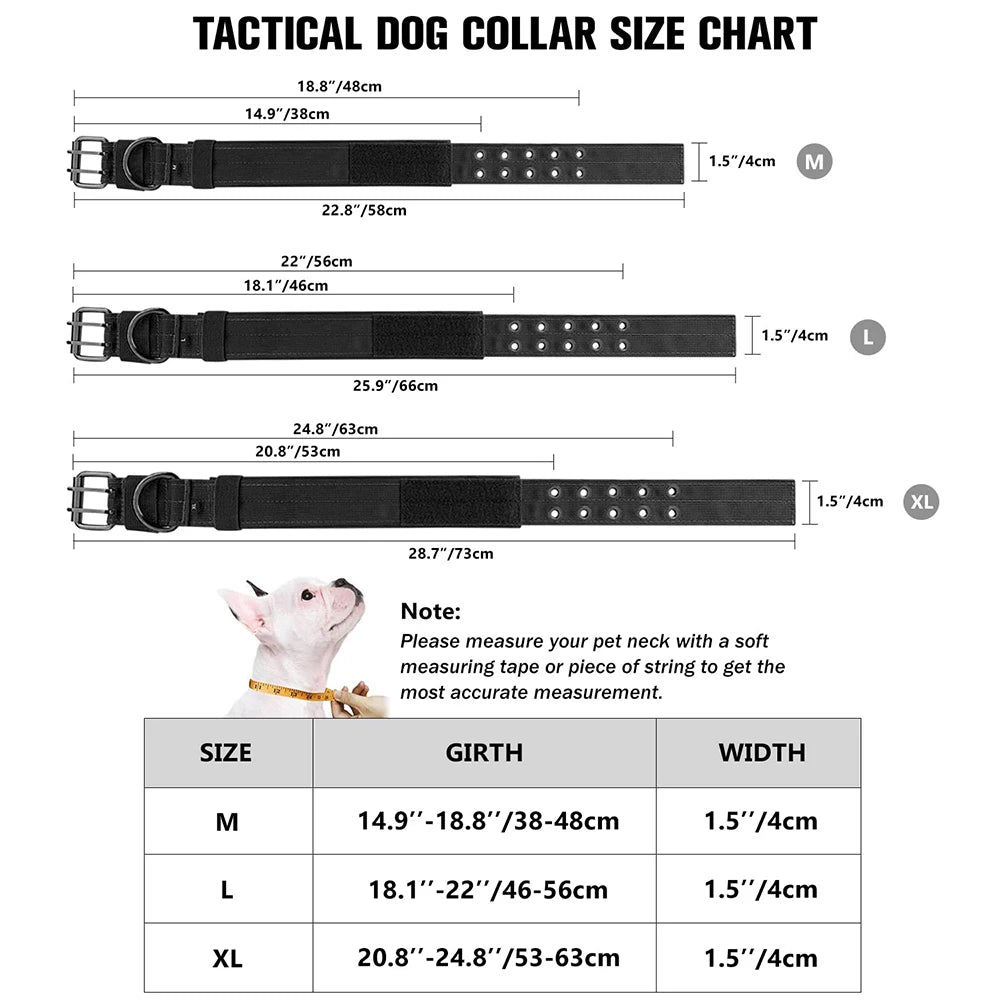 Heavy-Duty Nylon Dog Collar with Padded Lining and Metal Buckle