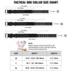 Heavy-Duty Nylon Dog Collar with Padded Lining and Metal Buckle