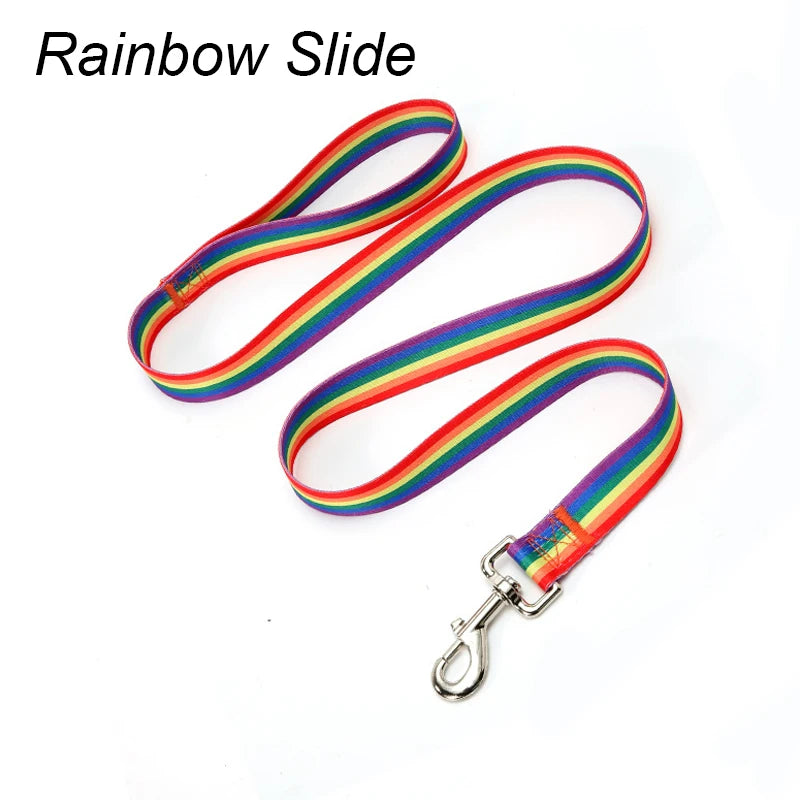 Rainbow slide dog leash featuring a colorful striped pattern and a metal D-ring.
