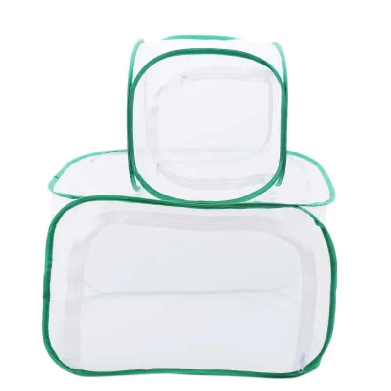 A clear, collapsible mesh insect breeding cage with a green rim and lid.