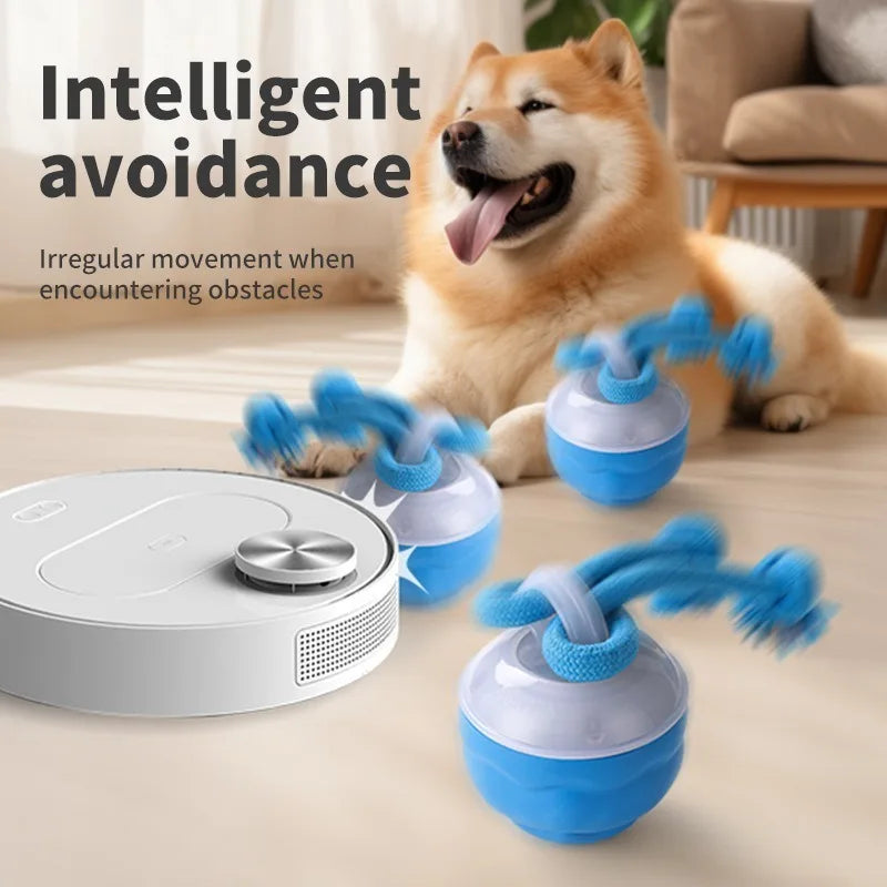 Interactive Rolling Dog Ball with Motion Sensor and Rope