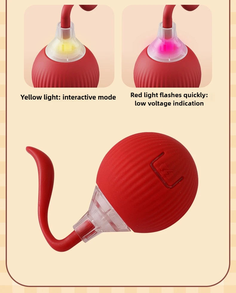 Interactive Automatic Rolling Cat Toy with Tail
