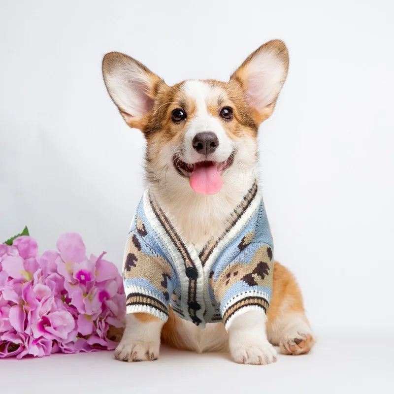 Adorable Bear Pattern Knitted Cardigan for Small Dogs and Cats