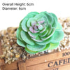 A vibrant green succulent plant with a rosette shape is displayed on a textured surface.