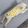 Adjustable Dog Diaper Pants with Suspenders