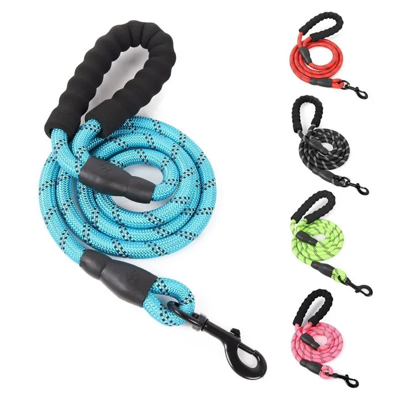 A set of reflective nylon dog leashes in black and blue, including a leash and a padded handle.