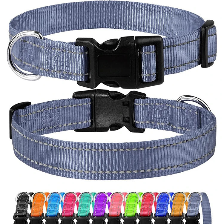 Decorative Nylon Dog Collar with Buckle Closure