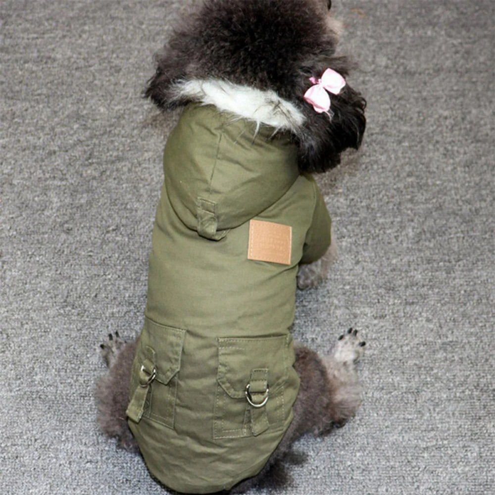 A small dog wearing a olive green hooded winter jacket with a pink bow.