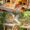 L-Shaped Wooden Hamster Platform with Stairs