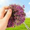 Lifelike Artificial Climbing Vine for Miniature Landscapes