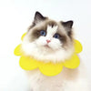 Collier de récupération en forme de fleur pour animaux, réglable