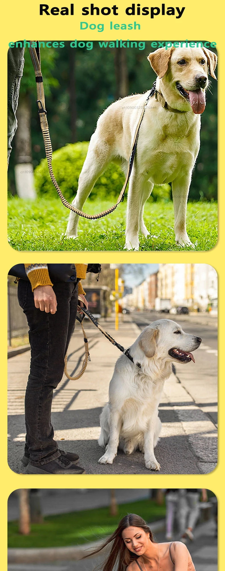 Reflective Bungee Dog Leash with Car Seatbelt Attachment for Large Dogs