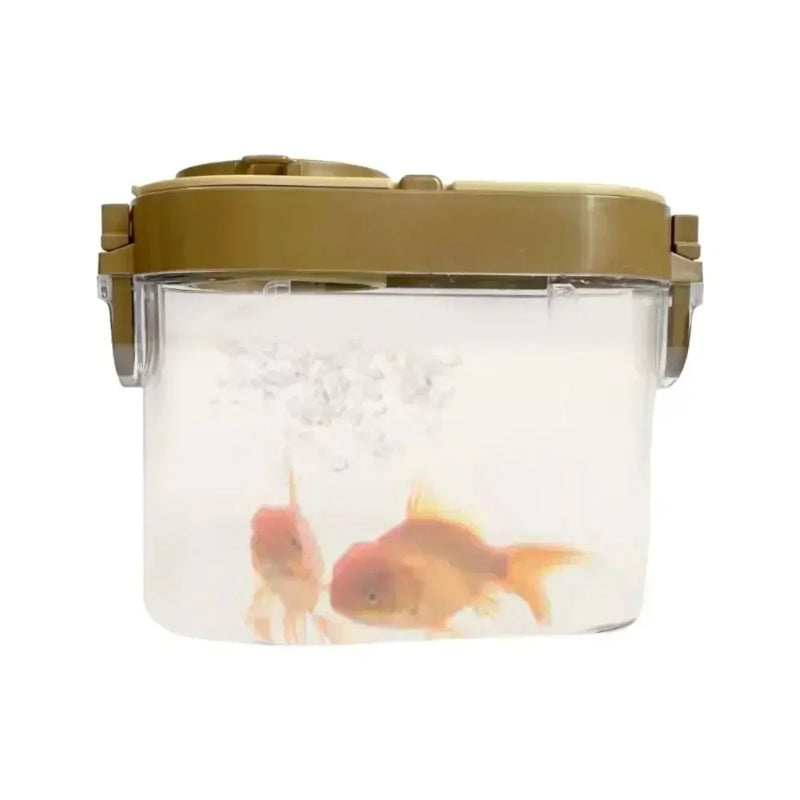 Insect Observation Box Kit with Magnifier for Outdoor Study