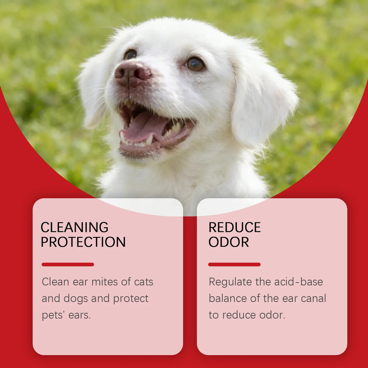 Gentle Pet Ear Cleaning Solution for Dogs, Cats & Rabbits