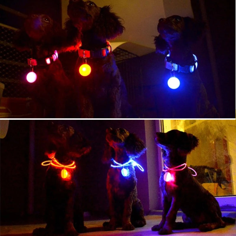 USB Charging Glowing Dog Collar with Pendant