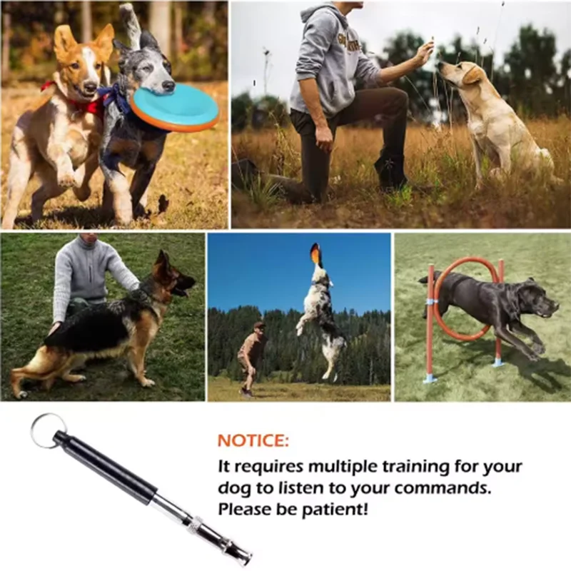 Tragbare Edelstahl-Hundetrainingspfeife in verschiedenen Kontexten mit Hunden.