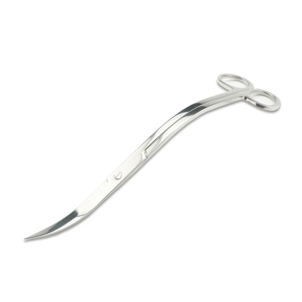 A precision stainless steel aquarium cleaning tool with a curved, pointed tip and a loop handle.