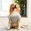 Sudadera de Fleece para Perro Grande con Capucha y Bolsillo con Cremallera