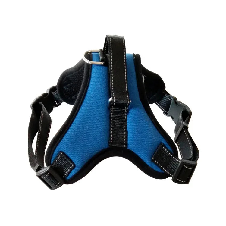 A blue breathable nylon dog harness with black straps and quick-release buckles.