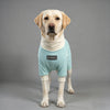 Pet Cooling Full-Body Suit for Summer Heat Relief
