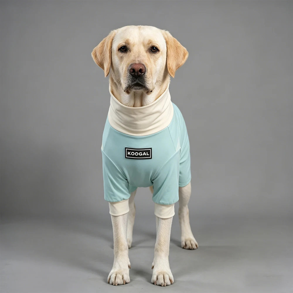 Pet Cooling Full-Body Suit for Summer Heat Relief