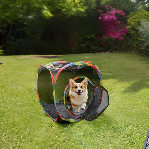 A small dog is peeking out of a colorful, foldable mesh cat play tunnel set on green grass.