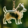 Transparent Pet Hair Keepsake Charm for Keys
