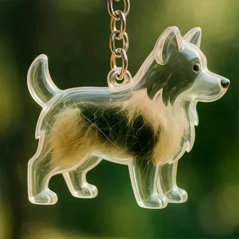 Transparent Pet Hair Keepsake Charm for Keys