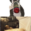 A dog is holding a cigar-shaped plush toy made of fabric and wood.