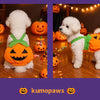 Adjustable Halloween Pumpkin Overall Costume for Small Dogs and Cats