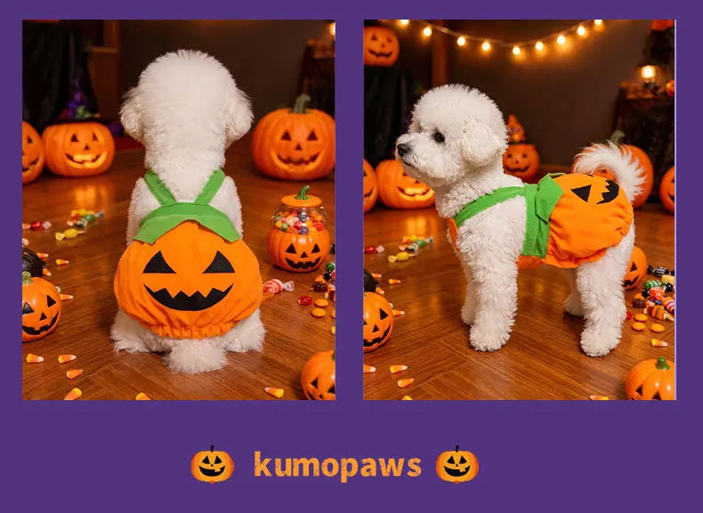 Adjustable Halloween Pumpkin Overall Costume for Small Dogs and Cats