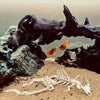 Articulated Dragon Skeleton Aquarium Ornament