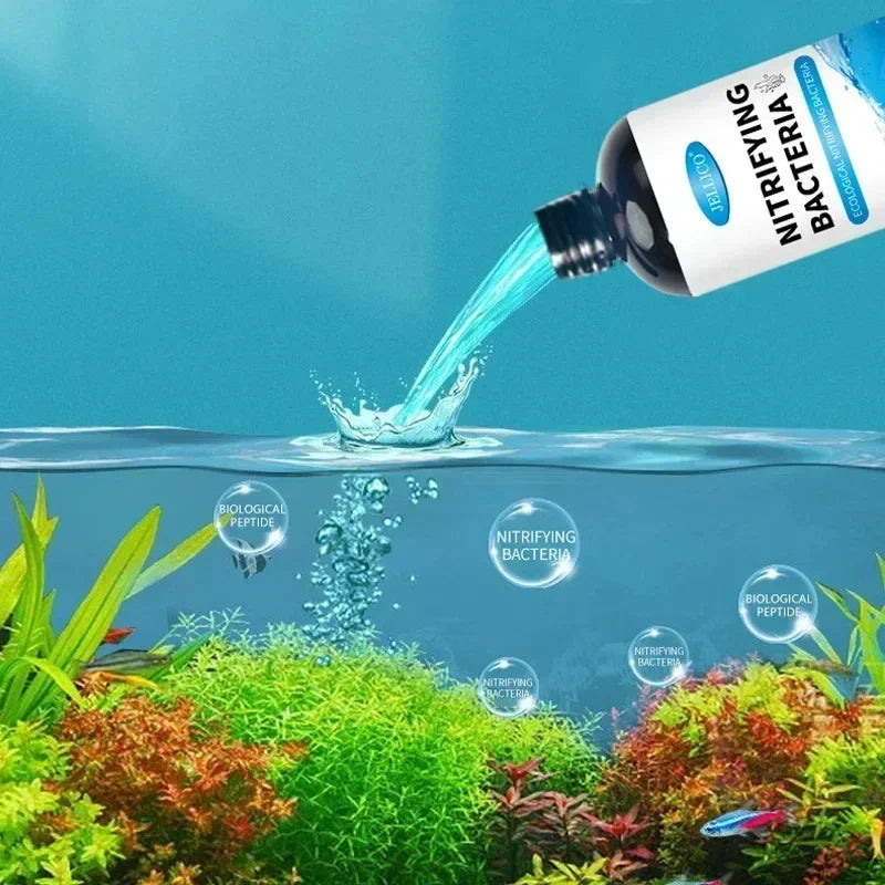 Bactéries nitrifiantes liquides 300ml pour le traitement de l'eau d'aquarium