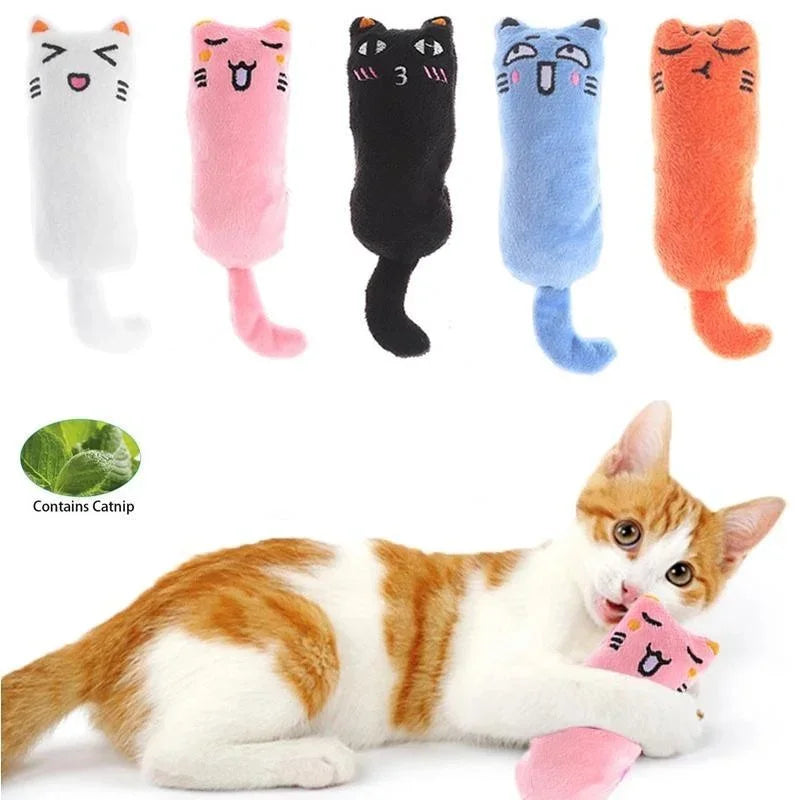 Katzenspielzeug-Set mit bunten Katzenminzen und einer lebenden orange-weißen Streifkatze.