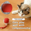 A close-up of an intelligent rolling ball toy for cats, shown alongside a cat playing with it.