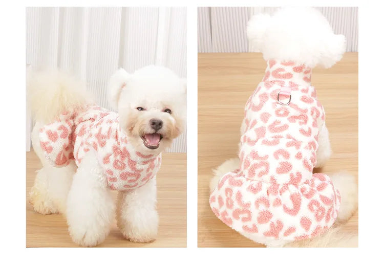 كلبة بيضاء زغبية ترتدي فستان أميرة بنقشة جلد النمر.
